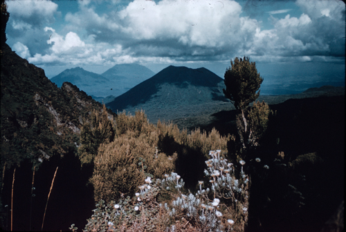 A scenic of the Virunga Volcanoes which straddle the Rwanda-Congo border and are the principal home of the mountain gorilla.: Photograph by and courtesy of George B. Schaller